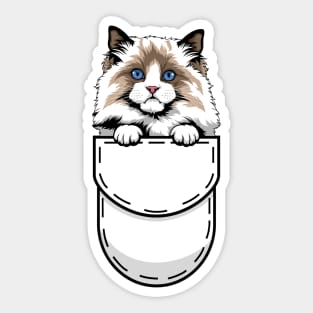 Funny Ragdoll Pocket Cat Sticker